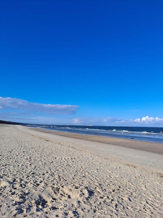 Apartament Prestige & Sea Balticus A4 米兹多洛杰 外观 照片